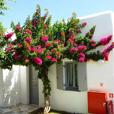 Paros Bay Hotel 4*